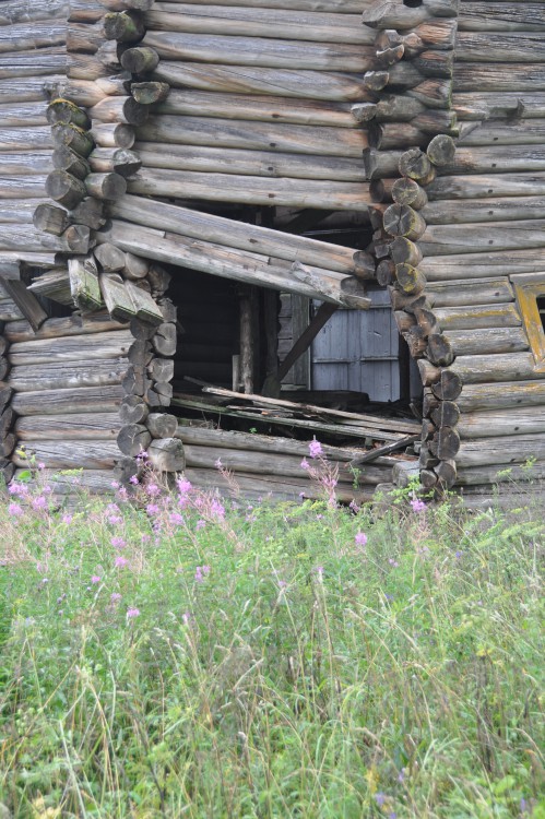 Церковь Илии Пророка, Часовенская (Задняя Дуброва) (Плесецкий район, Архангельская область). документальные фотографии