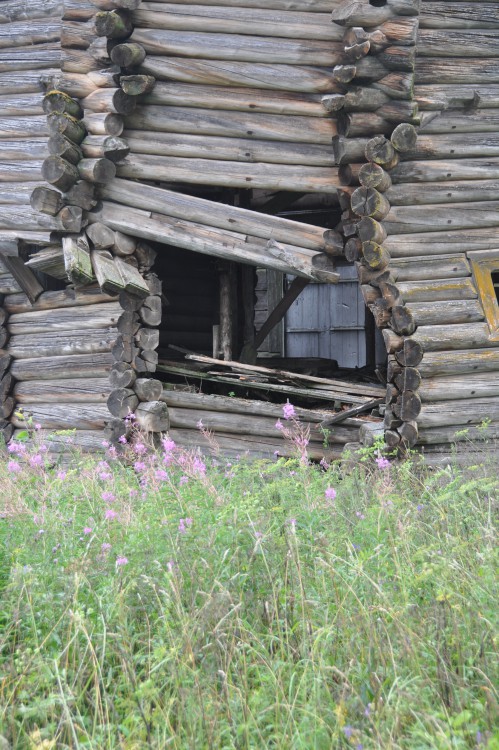 Часовенская (Задняя Дуброва). Церковь Илии Пророка. архитектурные детали