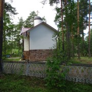 Церковь Всех Святых, , Большая Ижора, Ломоносовский район, Ленинградская область