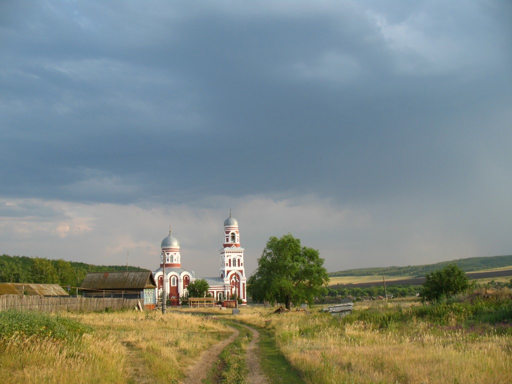 Церковь Николая Чудотворца, Илюшкино (Павловский район, Ульяновская область). общий вид в ландшафте