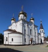 Кафедральный собор Афанасия и Феодосия Череповецких, Вид с северо-востока<br>, Череповец, Череповец, город, Вологодская область