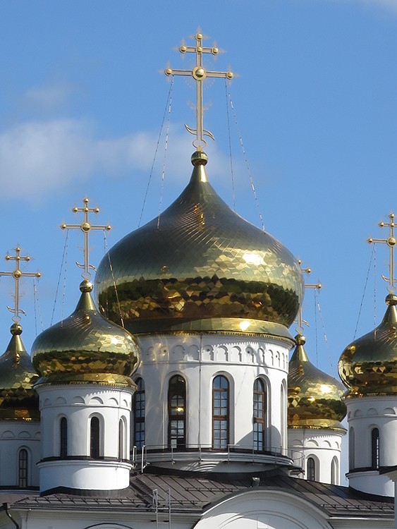 Кафедральный собор Афанасия и Феодосия Череповецких, Череповец (Череповец, город, Вологодская область). архитектурные детали