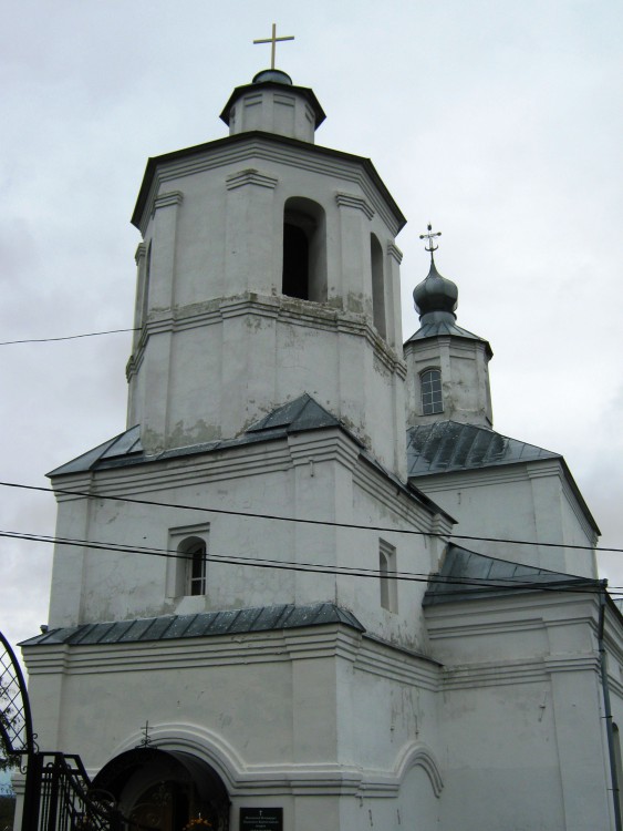 Чертовицы. Церковь Михаила Архангела. общий вид в ландшафте
