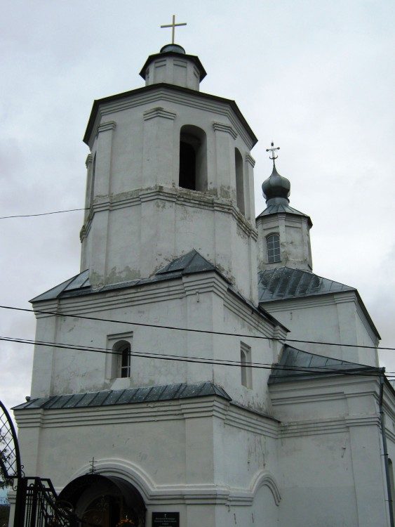 Церковь Михаила Архангела, Чертовицы (Рамонский район, Воронежская область). общий вид в ландшафте