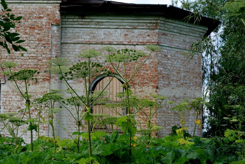 Церковь Преображения Господня, Аныб (Усть-Куломский район, Республика Коми). фасады