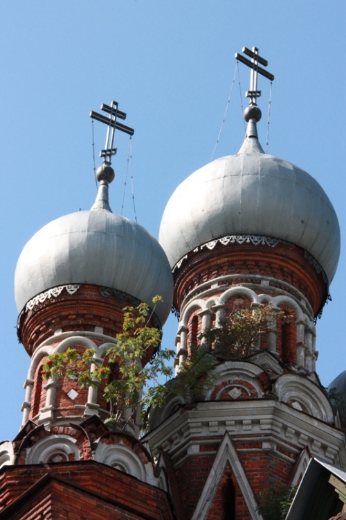 Церковь Покрова Пресвятой Богородицы, Дуброво (Тёмкинский район, Смоленская область). архитектурные детали, Купола церкви 