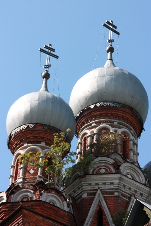 Дуброво. Церковь Покрова Пресвятой Богородицы. архитектурные детали, Купола церкви 