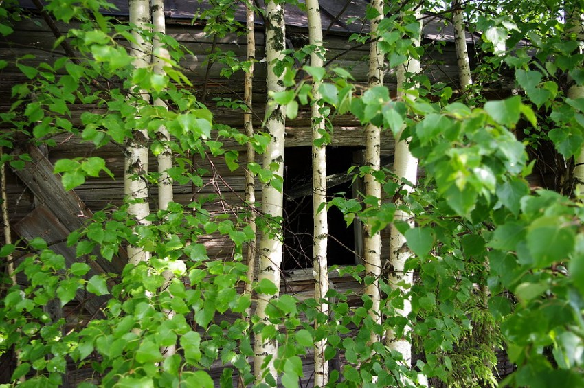 Часовня Илии Пророка, Грибаново (Солигаличский район, Костромская область). архитектурные детали