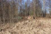 Церковь Тихвинской иконы Божией Матери, Вид на церковное место с юга<br>, Столипино, Зубцовский район, Тверская область