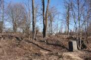 Церковь Рождества Христова (старая), Вид на церковное место с запада<br>, Балашково, Зубцовский район, Тверская область
