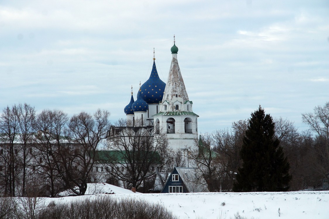 Кремль, Суздаль (Суздальский район, Владимирская область). фасады