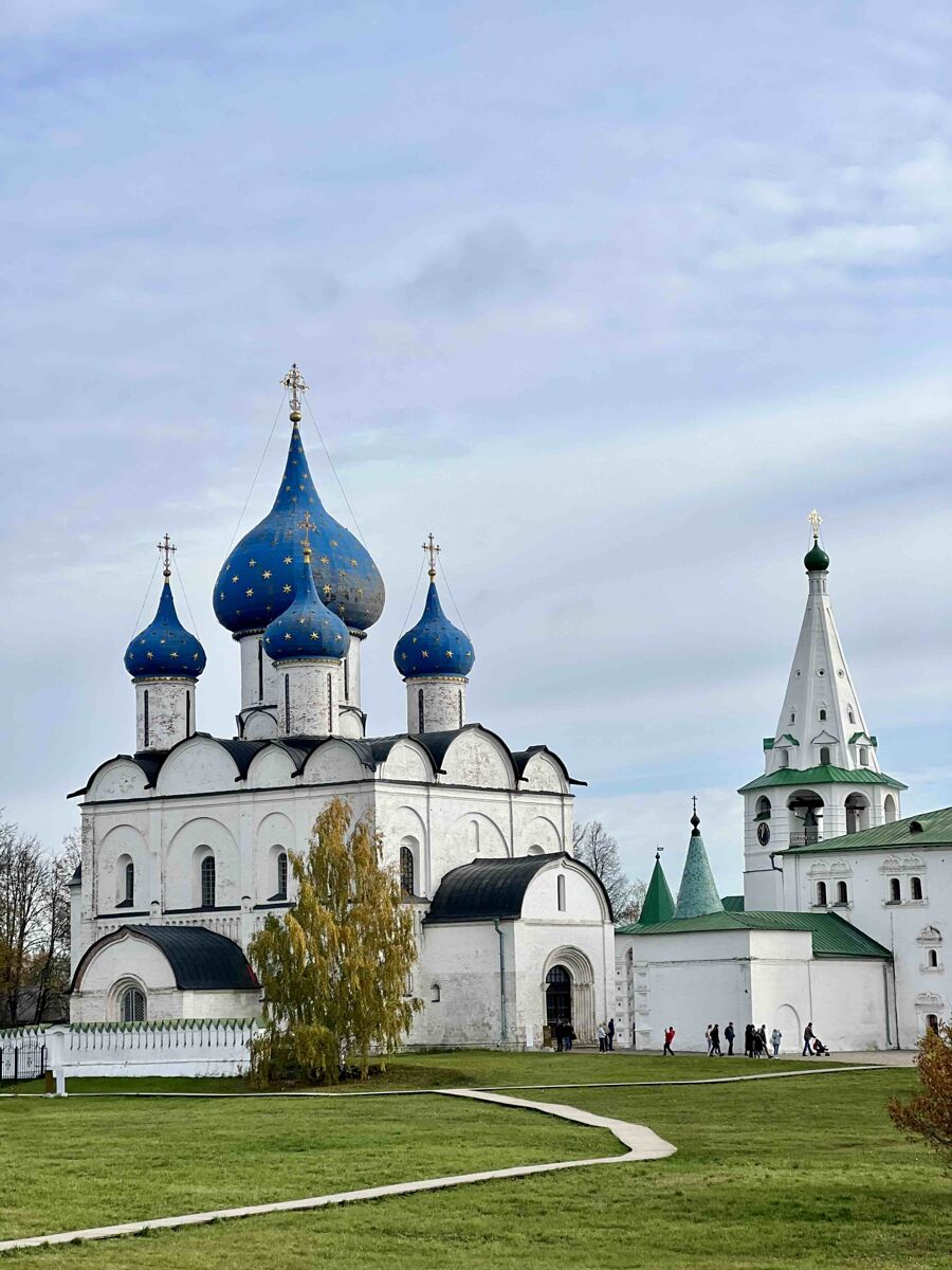 Кремль, Суздаль (Суздальский район, Владимирская область). общий вид в ландшафте