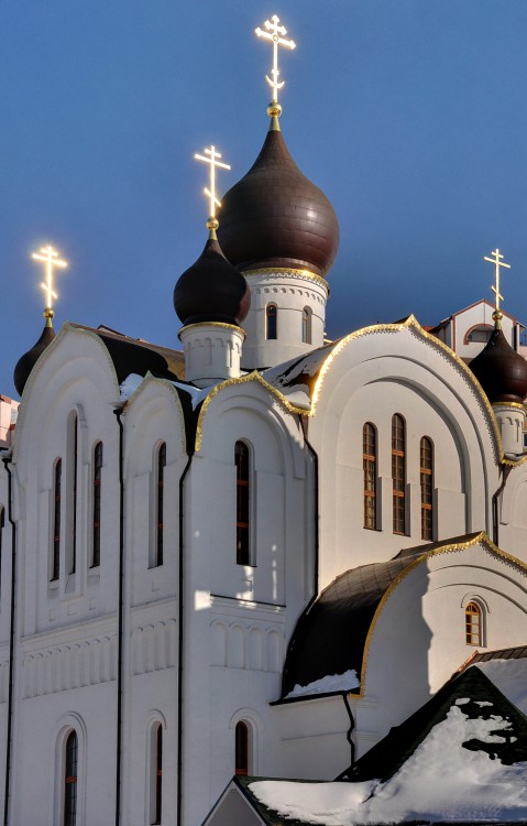 Церковь Иосифа Волоцкого, Развилка (Ленинский городской округ, Московская область). архитектурные детали