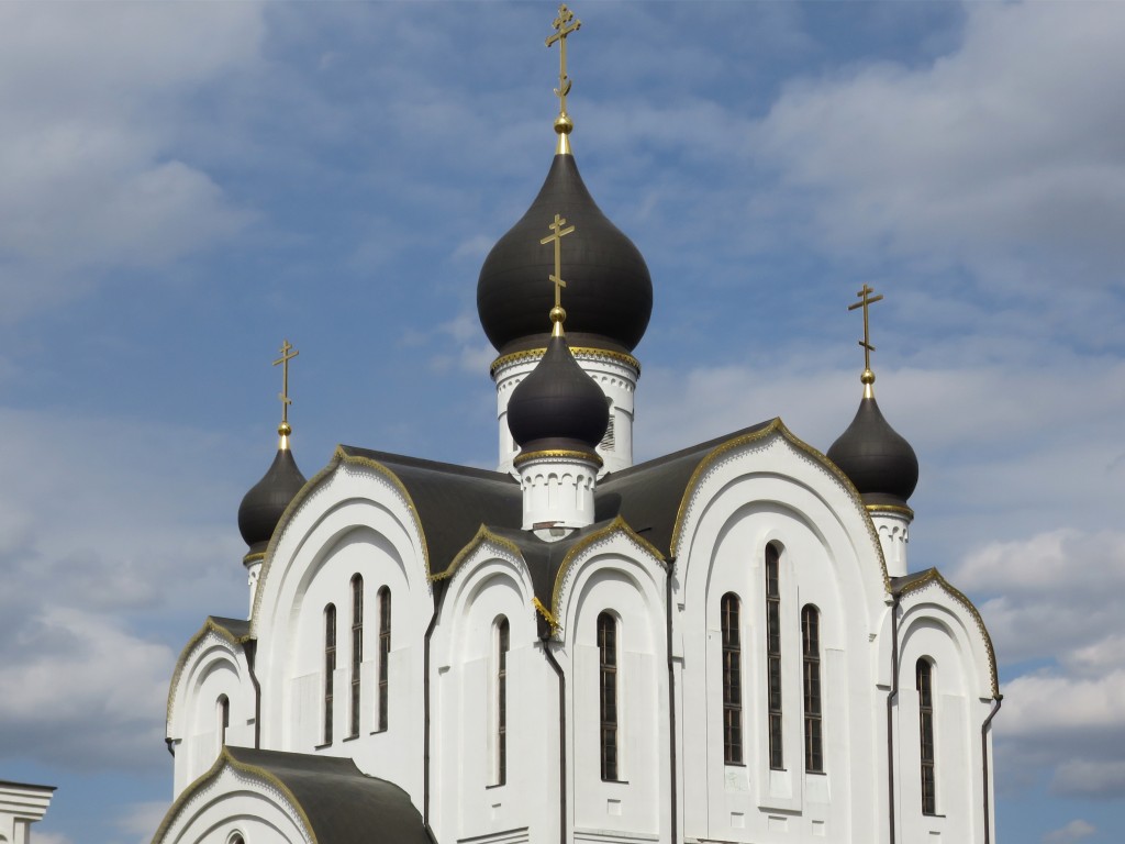 Развилка. Церковь Иосифа Волоцкого. архитектурные детали