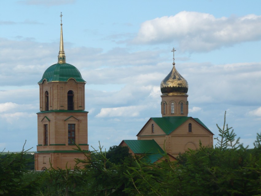 Казанский женский монастырь. Церковь Троицы Живоначальной, Колюпаново (Алексинский район и пос. Новогуровский, Тульская область). фасады