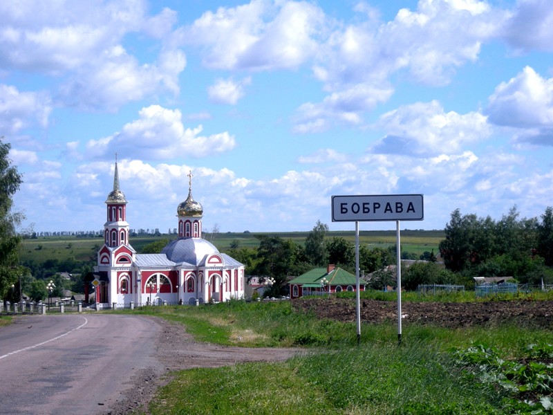 Церковь Татианы великомученицы, Бобрава (Ракитянский район, Белгородская область). общий вид в ландшафте