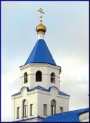 Церковь Рождества Пресвятой Богородицы, , Богородское, Новооскольский район, Белгородская область