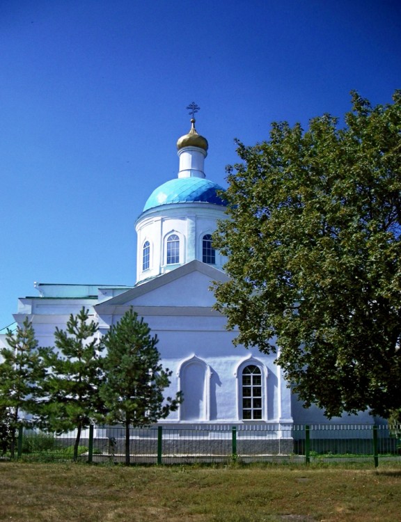 Церковь Богоявления Господня, Пены (Беловский район, Курская область). общий вид в ландшафте, церковь построена в 1878 году