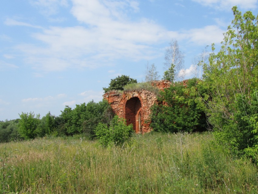 Церковь Космы и Дамиана, Медведки (Венёвский район, Тульская область). общий вид в ландшафте