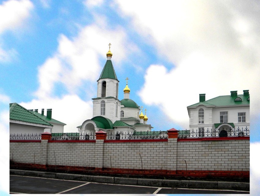 Золотухино. Алексеевский женский монастырь. общий вид в ландшафте