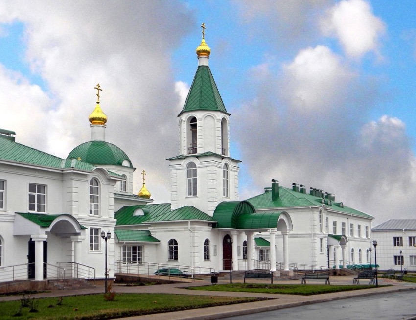 Золотухино. Алексеевский женский монастырь. общий вид в ландшафте
