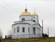 Церковь Николая Чудотворца, , Никольское, Золотухинский район, Курская область