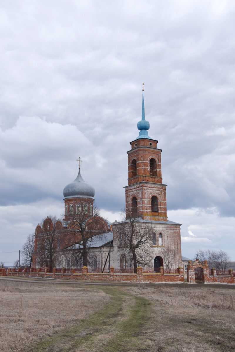 Церковь Рождества Христова, Ижеславль (Михайловский район, Рязанская область). общий вид в ландшафте