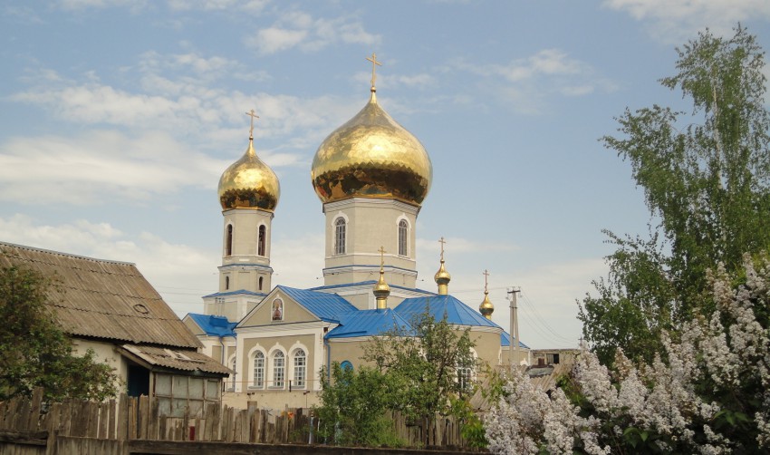 Церковь Успения Пресвятой Богородицы, Чернянка (Чернянский район, Белгородская область). общий вид в ландшафте, Общий вид с юго-востока