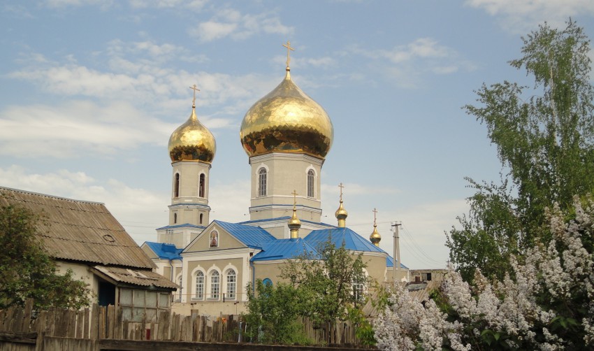 Чернянка. Церковь Успения Пресвятой Богородицы. общий вид в ландшафте, Общий вид с юго-востока