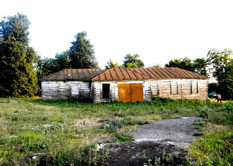 Церковь Космы и Дамиана, Сетное (Корочанский район, Белгородская область). общий вид в ландшафте