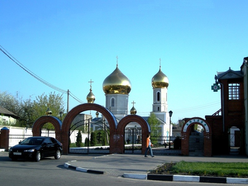 Церковь Успения Пресвятой Богородицы, Чернянка (Чернянский район, Белгородская область). общий вид в ландшафте