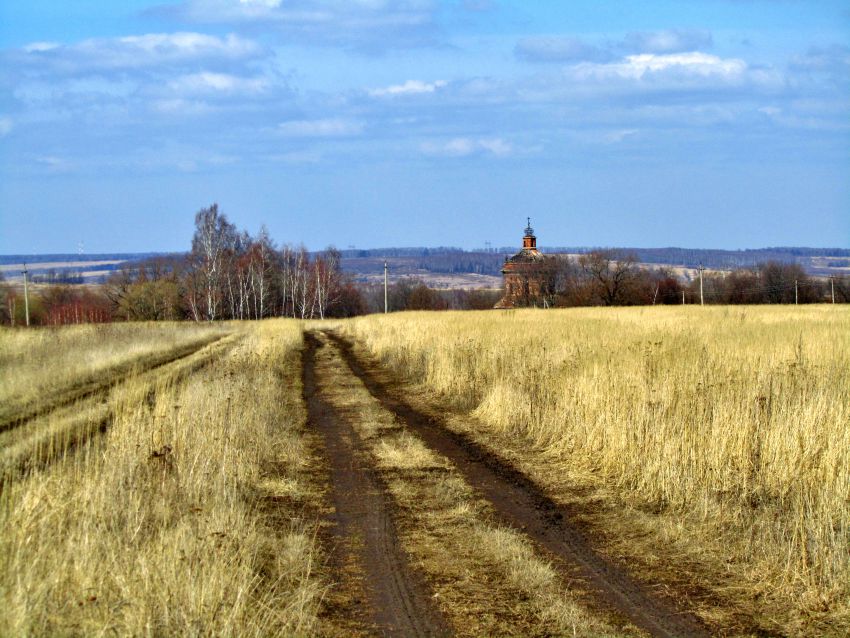 Церковь Михаила Архангела, Горки (Ясногорский район, Тульская область). общий вид в ландшафте