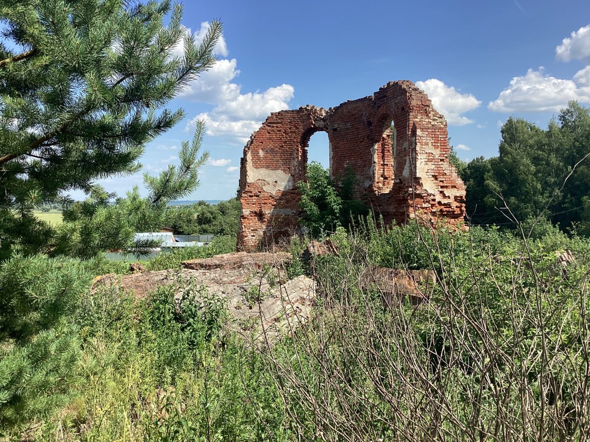 Церковь Иоанна Дамаскина, Большое Хорошово (Ясногорский район, Тульская область). фасады