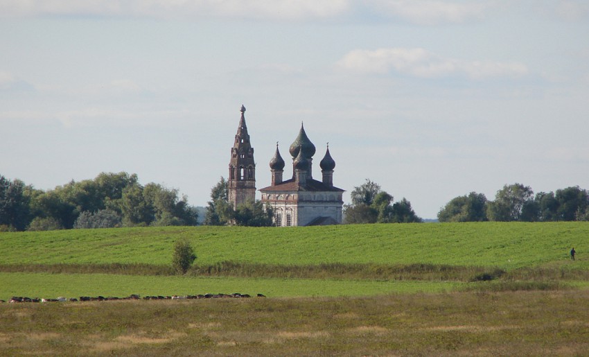 Церковь Благовещения Пресвятой Богородицы, Протасово (Нерехтский район, Костромская область). общий вид в ландшафте, Вид со стороны бывшей деревни Косодаилово