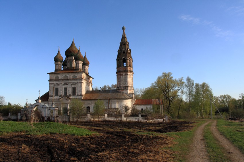 Церковь Благовещения Пресвятой Богородицы, Протасово (Нерехтский район, Костромская область). общий вид в ландшафте