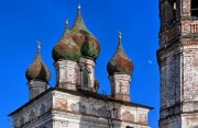 Церковь Благовещения Пресвятой Богородицы, , Протасово, Нерехтский район, Костромская область