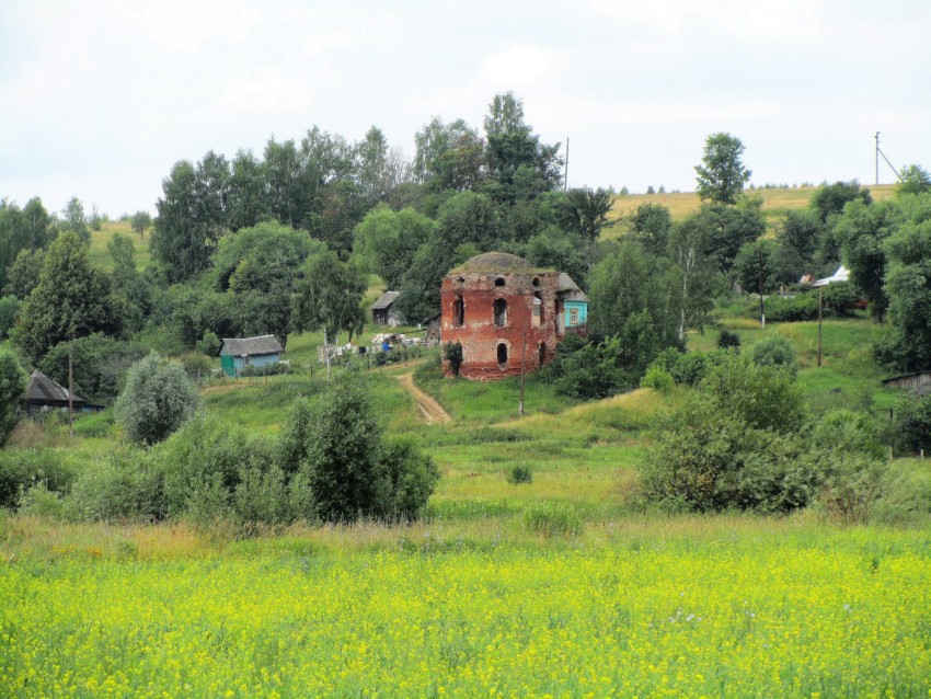 Церковь Иоанна Дамаскина, Большое Хорошово (Ясногорский район, Тульская область). общий вид в ландшафте, вид с севера