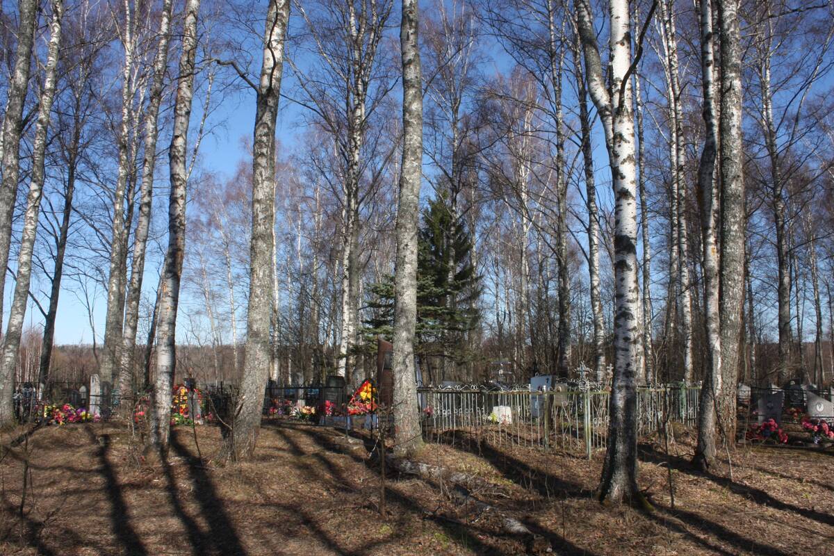 Церковь Рождества Христова, Бубново (Зубцовский район, Тверская область). дополнительная информация, Вид на церковное место с юга