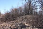 Церковь Рождества Пресвятой Богородицы, Вид на церковное место с запада<br>, Писцово, Зубцовский район, Тверская область