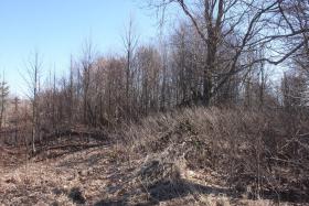Писцово. Церковь Рождества Пресвятой Богородицы