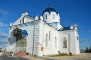 Церковь Рождества Пресвятой Богородицы - Абрютино - Рязанский район - Рязанская область