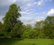 Воробьи. Введения во храм Пресвятой Богородицы, церковь