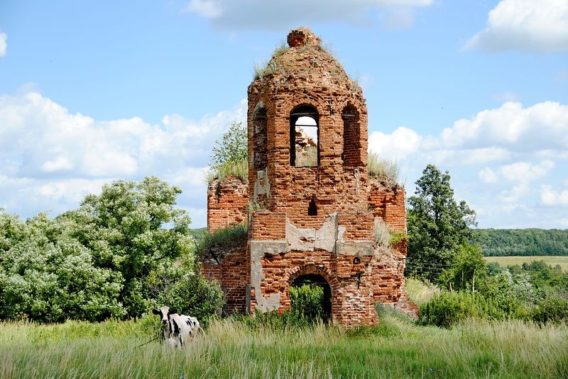 Церковь Параскевы Пятницы, Умчено (Щёкинский район, Тульская область). фасады