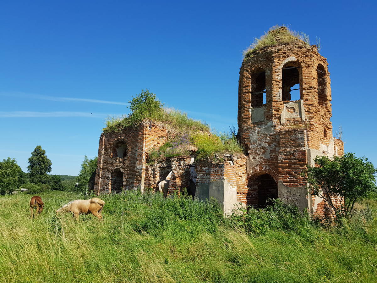 Церковь Параскевы Пятницы, Умчено (Щёкинский район, Тульская область). общий вид в ландшафте