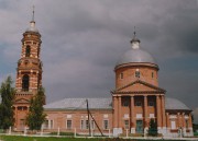 Церковь Рождества Пресвятой Богородицы, , Виленки, Михайловский район, Рязанская область