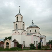 Церковь Преображения Господня, , Голдино, Михайловский район, Рязанская область