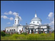 Церковь Успения Пресвятой Богородицы, , Печерники, Михайловский район, Рязанская область