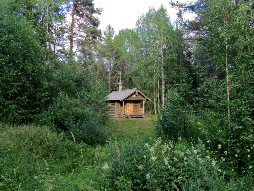 Часовня Ксении Петербургской, Морщихинская (Лёкшмозеро) (Каргопольский район, Архангельская область). дополнительная информация, вид с северо-запада