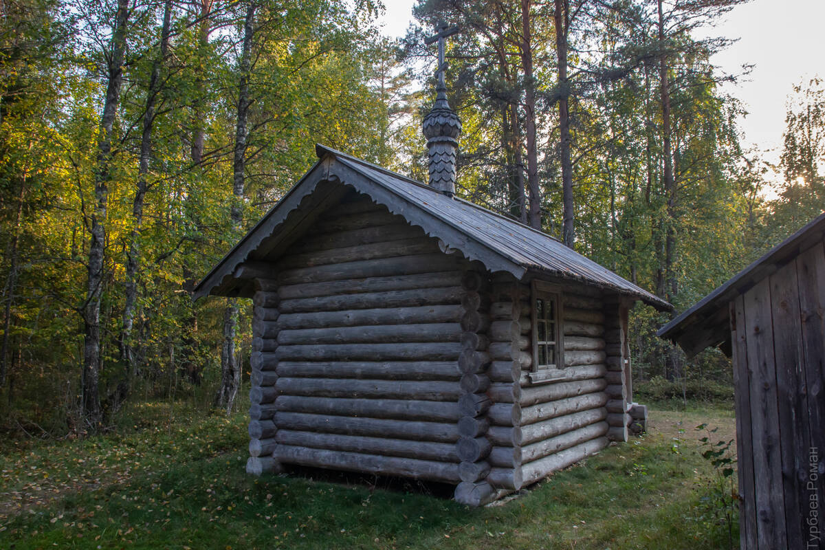 Часовня Ксении Петербургской, Морщихинская (Лёкшмозеро) (Каргопольский район, Архангельская область). фасады, Вид с северо-востока