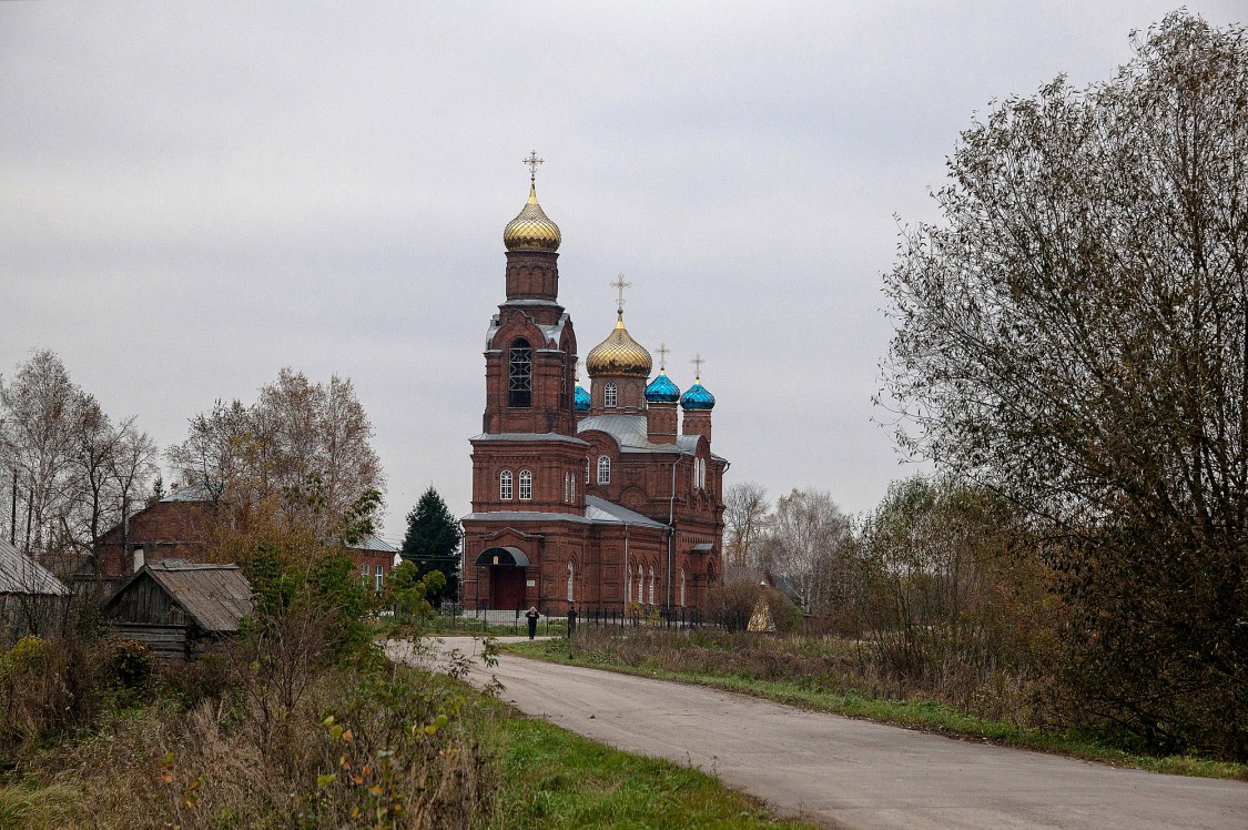 Троица-Лесуново. Церковь Введения во храм Пресвятой Богородицы. общий вид в ландшафте